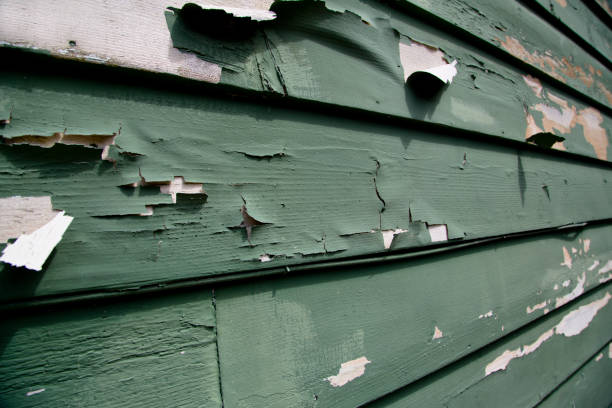 Best Property Management Cleanouts  in East Los Angeles, CA